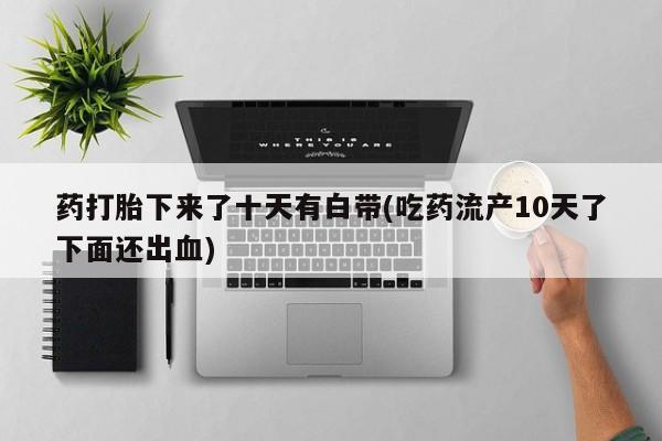admin 第322页