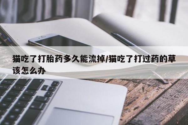 堕胎药叫什么名字微信怎么购买猫吃了打胎药多久能流掉/猫吃了打过药的草该怎么办